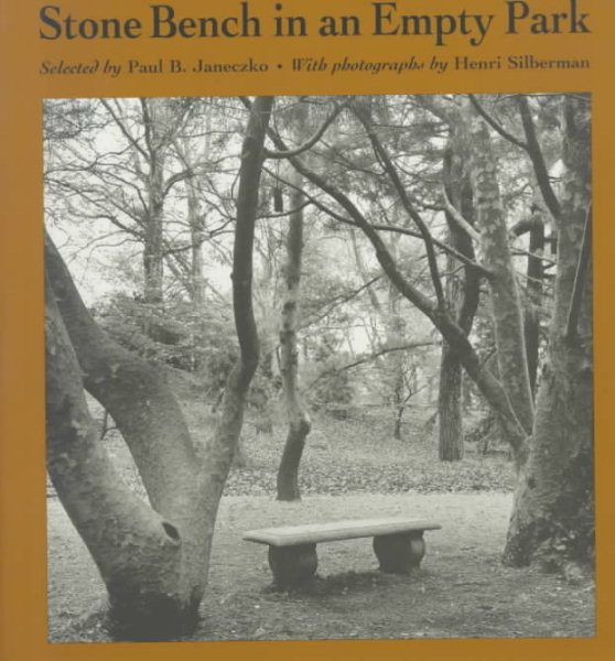 Stone Bench In An Empty Park cover