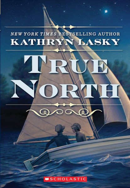 True North: A Novel of the Underground Railroad cover