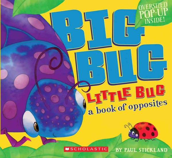 Big Bug, Little Bug cover