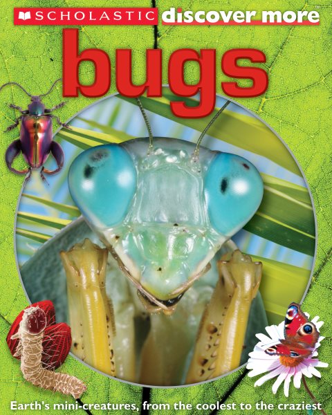 Bugs (Scholastic Discover More) cover