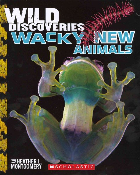 Wild Discoveries: Wacky New Animals cover
