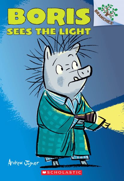 Boris Sees the Light: A Branches Book (Boris #4) cover