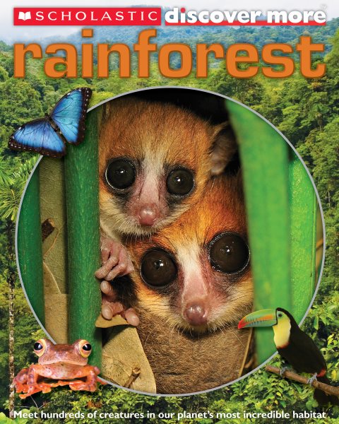 Scholastic Discover More: Rainforest cover