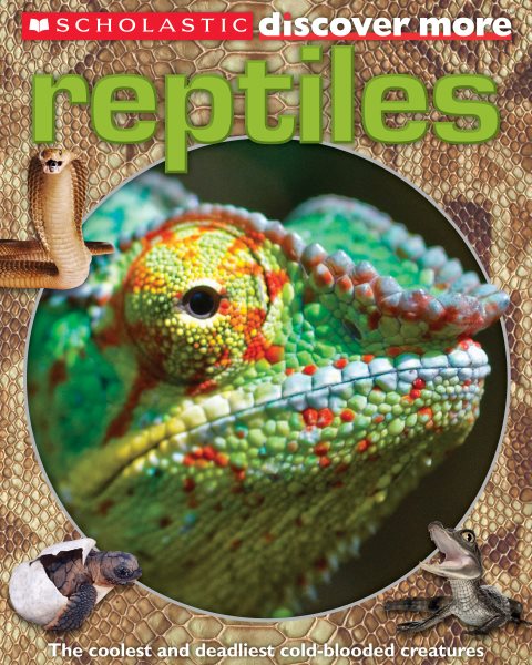 Scholastic Discover More: Reptiles cover