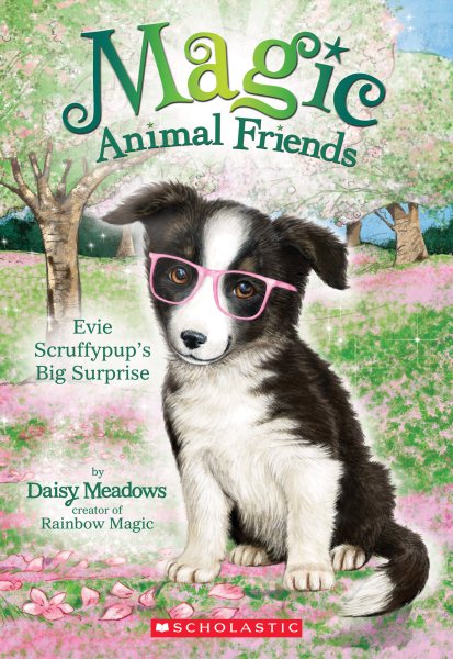 Evie Scruffypup's Big Surprise (Magic Animal Friends #10) (1) cover