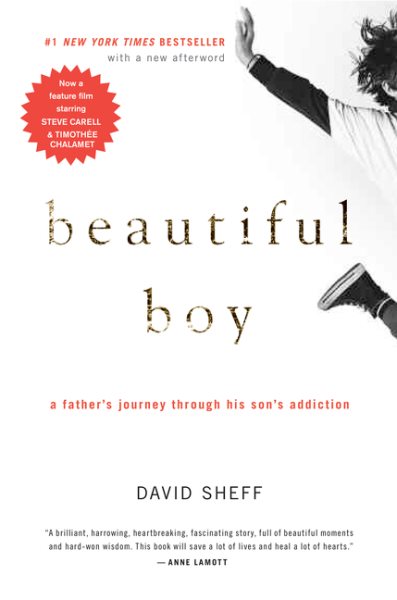 Beautiful Boy: A Father's Journey Through His Son's Addiction cover