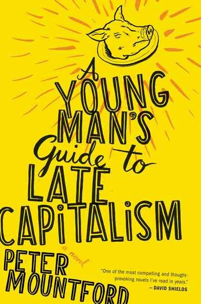 A Young Man's Guide to Late Capitalism cover
