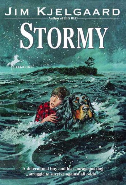 Stormy cover