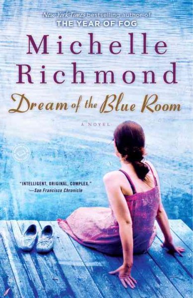 Dream of the Blue Room: A Novel cover