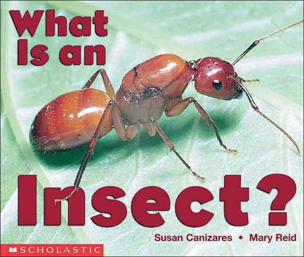 What Is An Insect? (Emergent Readers)