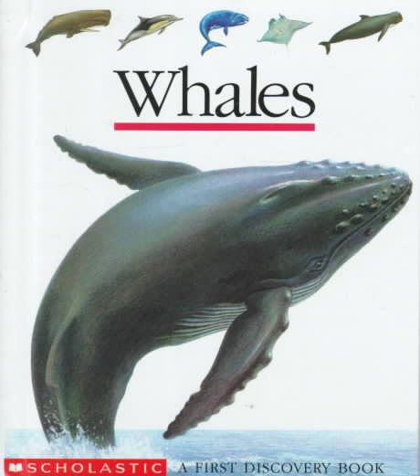 Whales (First Discovery Books) cover