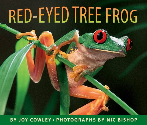 Red-Eyed Tree Frog cover