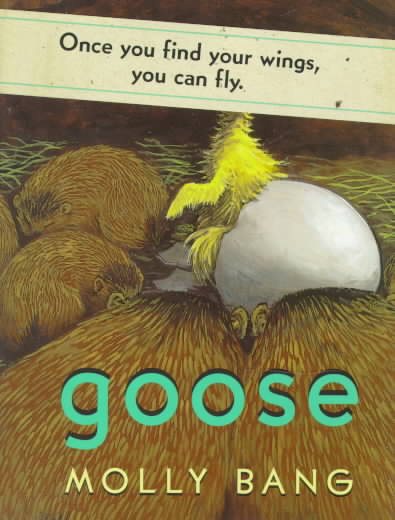 Goose cover