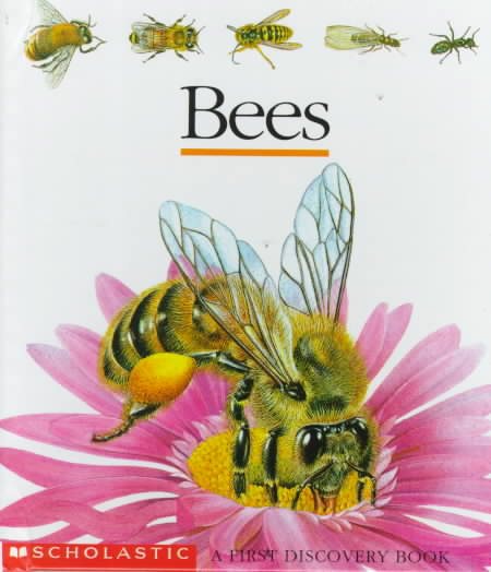 Bees (First Discovery) cover