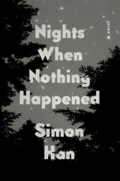 Nights When Nothing Happened: A Novel cover