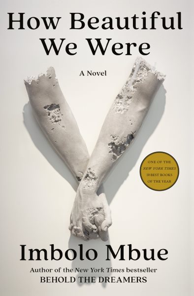 How Beautiful We Were: A Novel cover