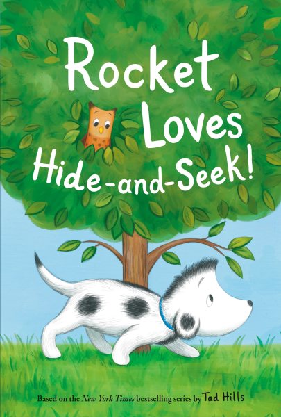Rocket Loves Hide-and-Seek! cover