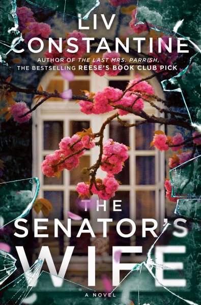 The Senator's Wife: A Novel cover