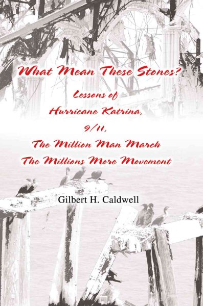 What Mean These Stones?: Lessons of Hurricane Katrina, 9/11, The Million Man March The Millions More Movement cover