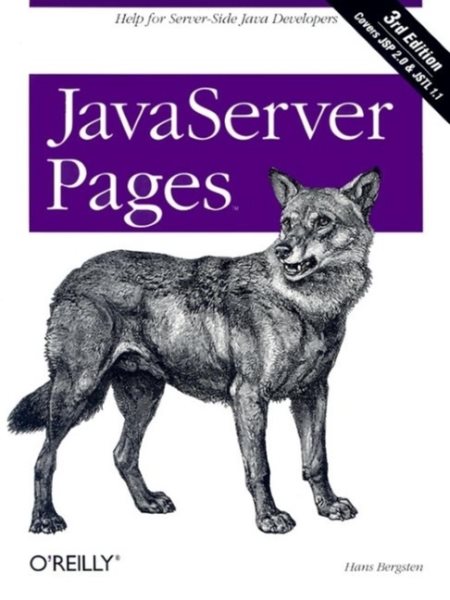 JavaServer Pages, 3rd Edition cover