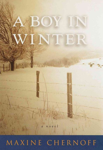 A Boy in Winter cover