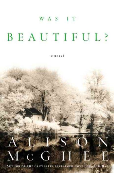 Was It Beautiful?: A Novel cover