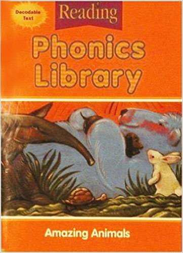 Houghton Mifflin Reading: The Nation's Choice: Phonics Library (8 stories) Grade 2