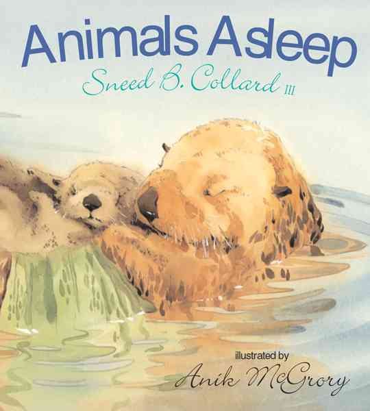 Animals Asleep cover