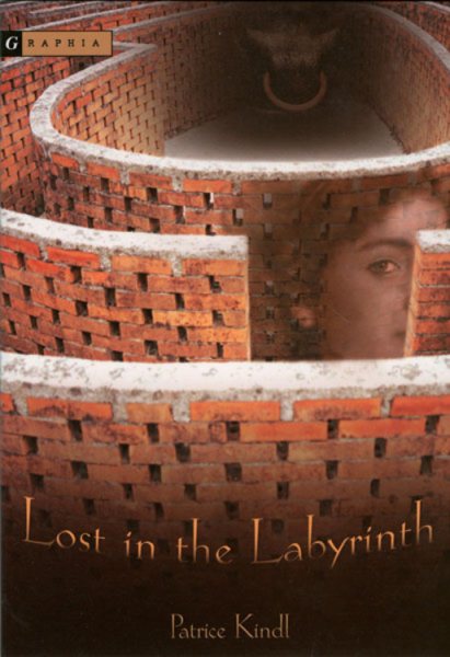 Lost in the Labyrinth cover