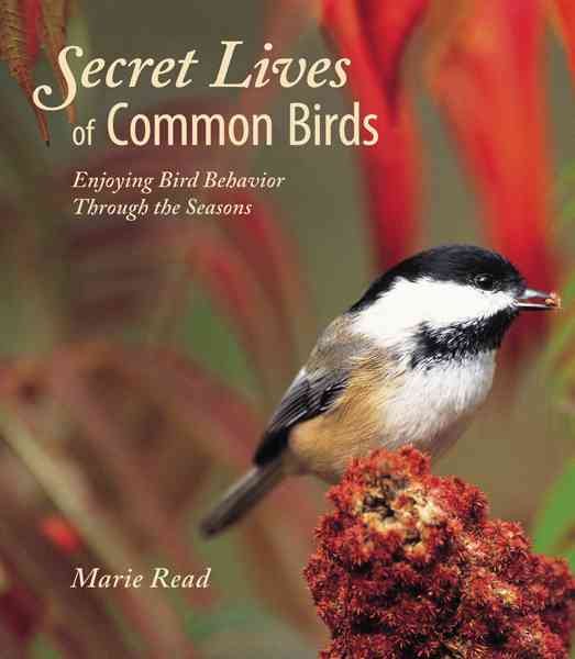 Secret Lives of Common Birds: Enjoying Bird Behavior Through the Seasons cover