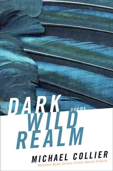 Dark Wild Realm cover