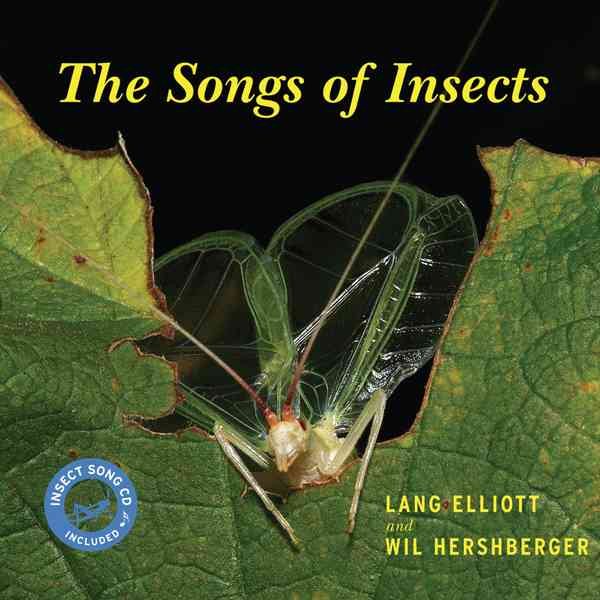 The Songs of Insects cover
