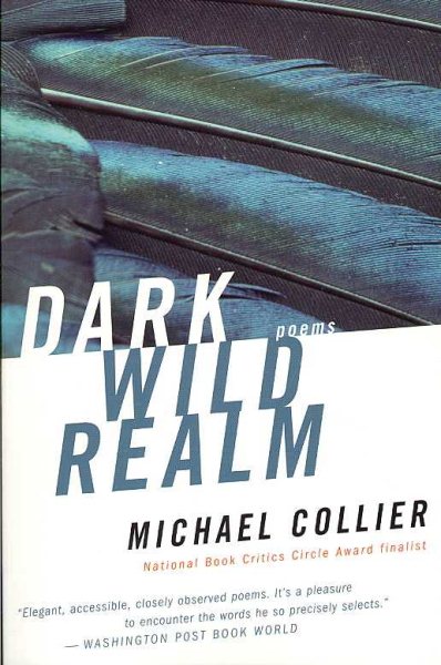 Dark Wild Realm cover