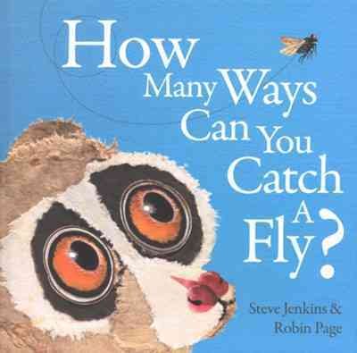 How Many Ways Can You Catch a Fly? cover