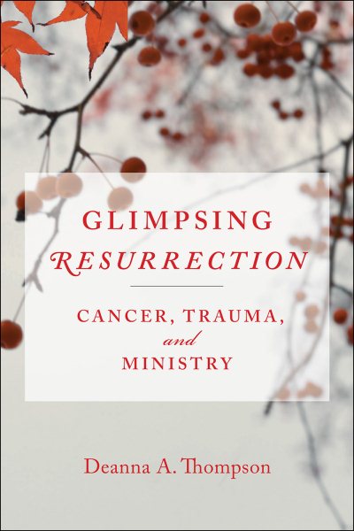 Glimpsing Resurrection cover