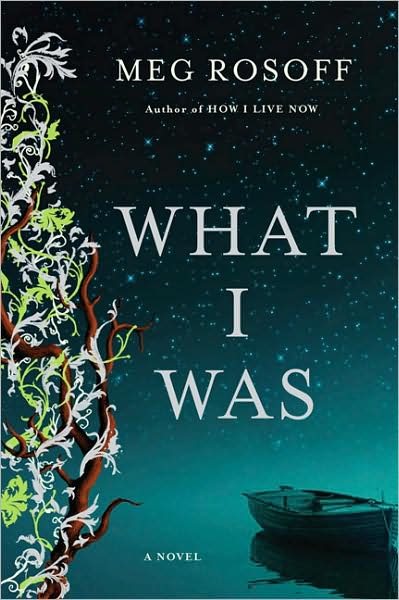 What I Was: A Novel cover
