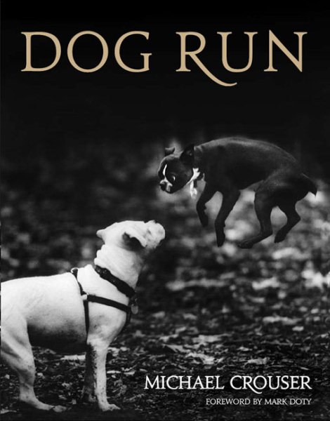 Dog Run cover