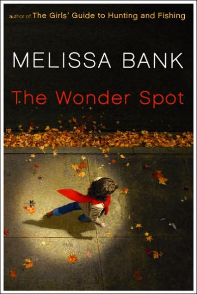 The Wonder Spot cover