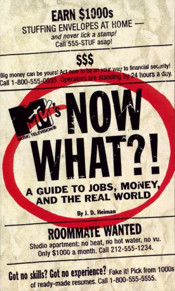 MTV's Now What?! a Guide to Jobs, Money and the Real World cover