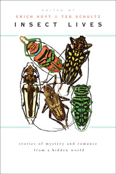 Insect Lives: Stories of Mystery and Romance from a Hidden World cover