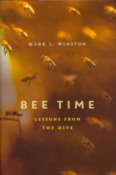 Bee Time: Lessons from the Hive cover