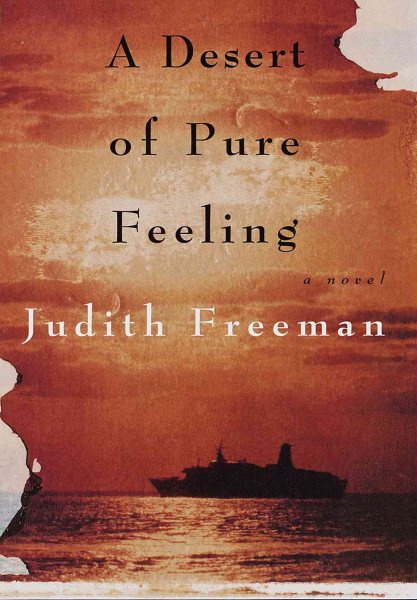 A Desert of Pure Feeling: A novel cover