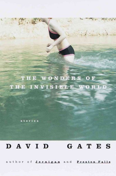 The Wonders of the Invisible World: Stories cover
