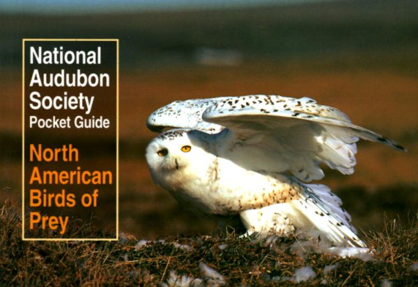 National Audubon Society Pocket Guide to North American Birds of Prey (National Audubon Society Pocket Guides) cover