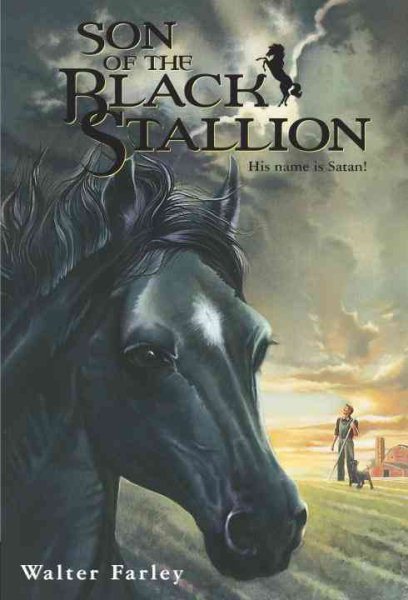 Son of the Black Stallion cover