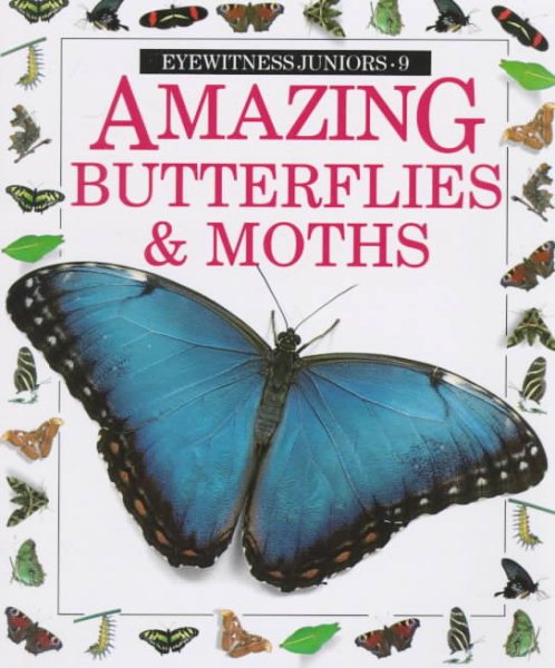 Amazing Butterflies and Moths (Eyewitness Junior) cover