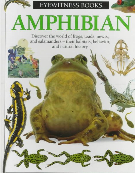 Amphibian (Eyewitness Books) cover