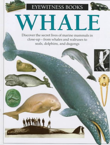 Whale (Eyewitness) cover