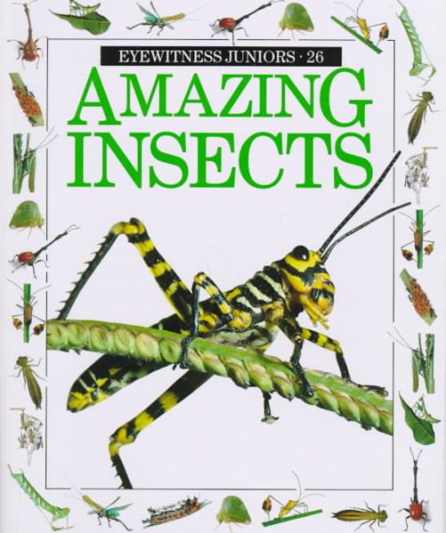 Amazing Insects (Eyewitness Junior) cover