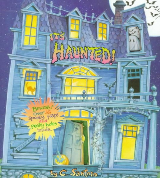 It's Haunted! (Nifty Lift-and-Look) cover